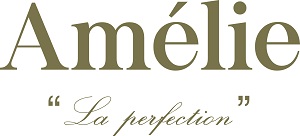 Nouveau_Logo_AMÉLIE_web_OK